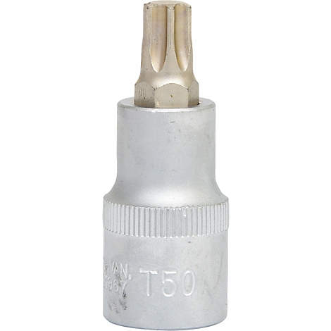 Nahaufnahme einer Torx-Nuss in Silber. Der Kopf hat sternförmige Kerben. Die Seite trägt die Aufschrift T50.